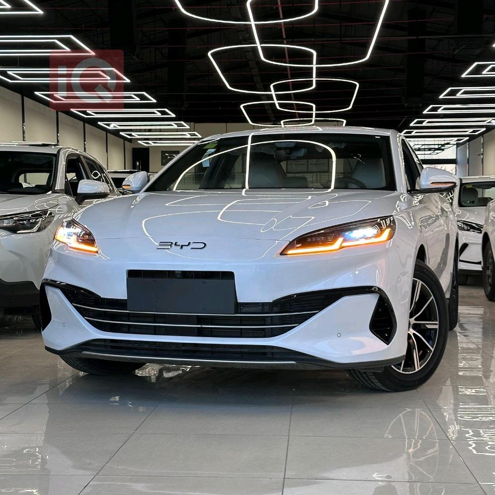 بي واي دي سيل 06 DM-i